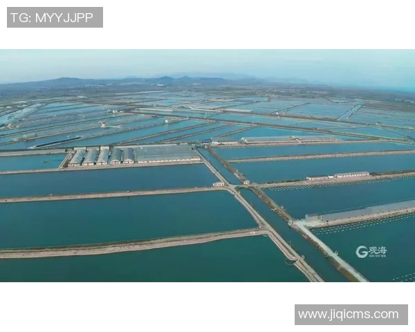 青岛国信水产：提升员工福利，构建和谐企业氛围